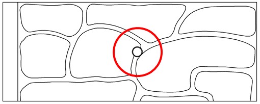 25